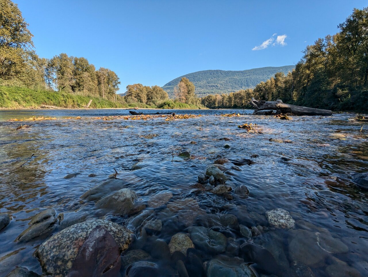 Photo of a river with many stones and a large log.